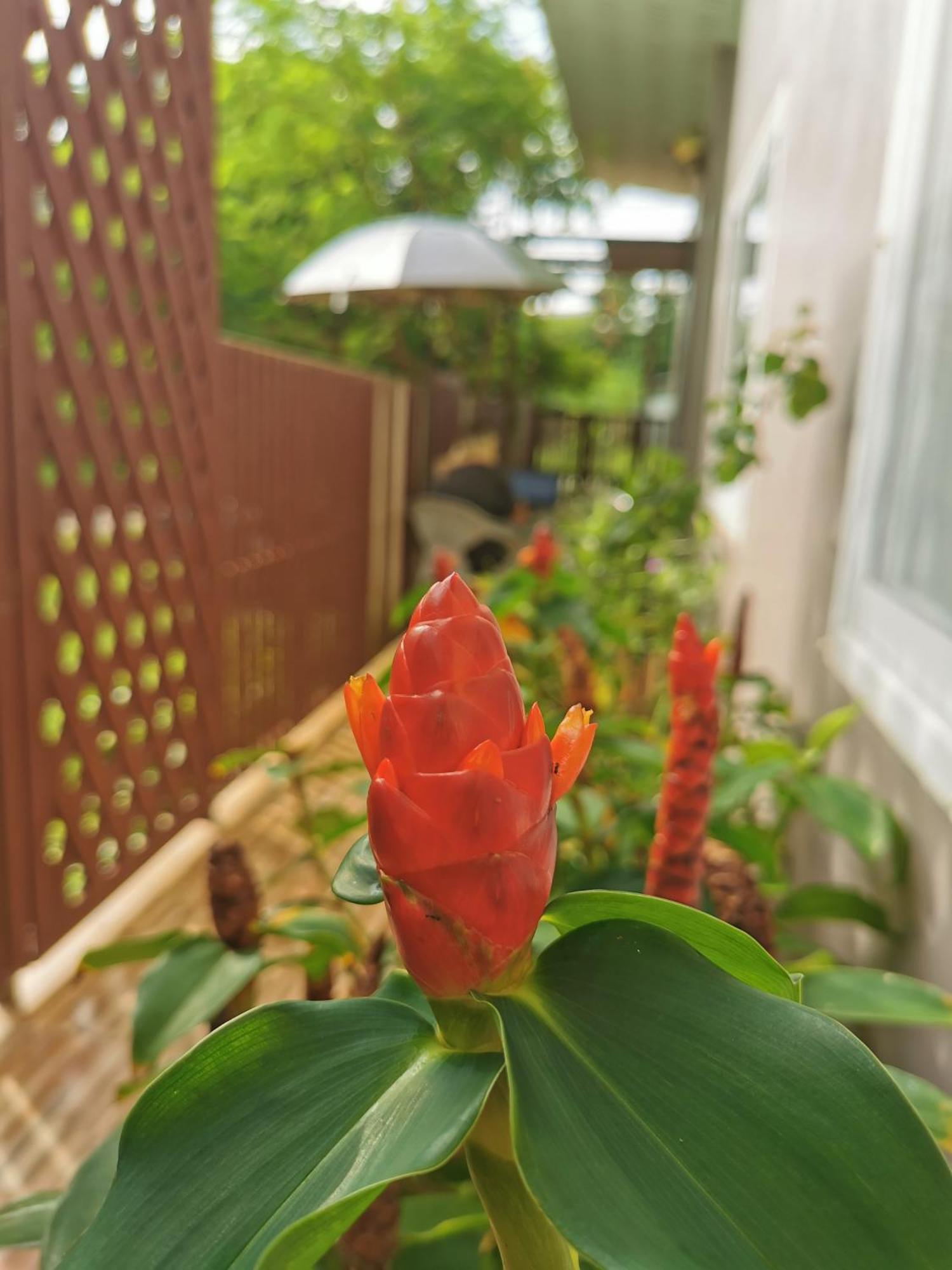 De​ Lanta Place Ko Lanta Zewnętrze zdjęcie