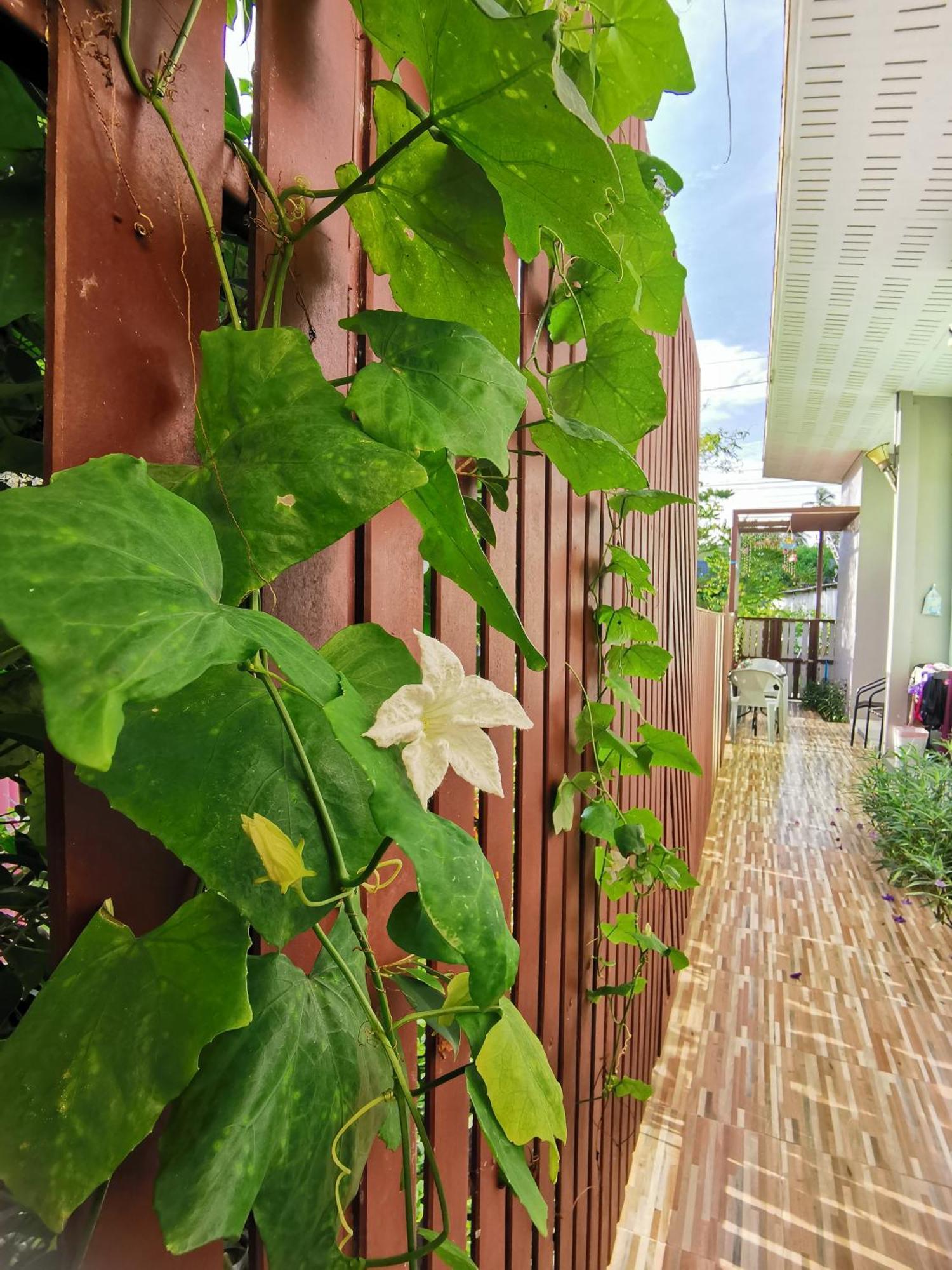 De​ Lanta Place Ko Lanta Pokój zdjęcie